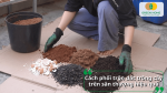 Phối trộn đất trồng sân thượng với xơ dừa, trấu hun và các vật liệu hữu cơ.