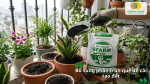 Bổ sung phân trùn quế để cải tạo đất và tăng độ màu mỡ cho đất.
