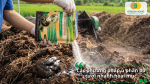 Ủ phân bò tươi bằng chế phẩm Trichoderma giúp phân nhanh hoai mục, giảm mùi hôi