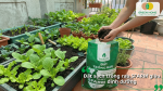 Đất sạch trồng rau SFARM giàu dinh dưỡng, phù hợp sử dụng cho vườn rau sạch tại nhà.