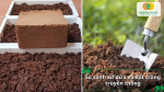 So sánh viên nén xơ dừa và đất trồng truyền thống về độ tơi xốp, khả năng giữ ẩm và ứng dụng làm giá thể.