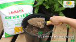 Phân bò ủ hoai là cải tạo đất, tăng độ tơi xốp, giữ ẩm và cung cấp dinh dưỡng bền vững cho cây trồng.