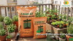 Đất sạch Tribat giàu dinh dưỡng, được sử dụng để trồng rau và cây gia vị trong vườn nhà.