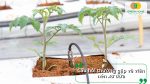 Câu hỏi thường gặp về viên nén xơ dừa khi sử dụng làm giá thể trồng cây và ươm hạt giống.