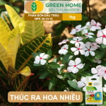 Phân bón Đầu Trâu NPK 30-10-10 hỗ trợ thúc cây ra hoa nhiều và cung cấp dinh dưỡng cho hoa kiểng.
