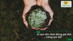 Vì sao cần chọn đúng giá thể trồng sen đá để đảm bảo khả năng thoát nước, thông thoáng và giúp cây phát triển khỏe mạnh.