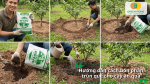Hướng dẫn cách bón phân trùn quế cho cây ăn quả qua các bước xới đất, bón phân và tưới nước.