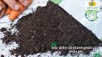 Đặc điểm và thành phần của phân bò, nguồn dinh dưỡng hữu cơ giúp cải thiện đất và hỗ trợ cây trồng.