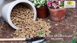 Đặc điểm nổi bật của đất Akadama với cấu trúc hạt tự nhiên, phù hợp sử dụng làm giá thể cho nhiều loại cây trồng.