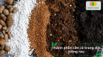 Thành phần cần có trong đất trồng rau gồm đất nền, giá thể và vật liệu hữu cơ giúp cây sinh trưởng tốt.