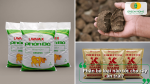 Phân bò loại nào tốt cho cây ăn trái, gồm các sản phẩm phân bò đã qua xử lý và ủ vi sinh.