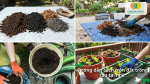 Hướng dẫn cách trộn đất trồng rau tại nhà với các nguyên liệu phù hợp để tạo giá thể giàu dinh dưỡng.